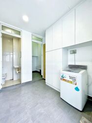 The Tresor (D10), Condominium #447847541